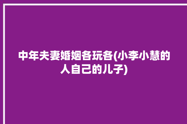 中年夫妻婚姻各玩各(小李小慧的人自己的儿子)