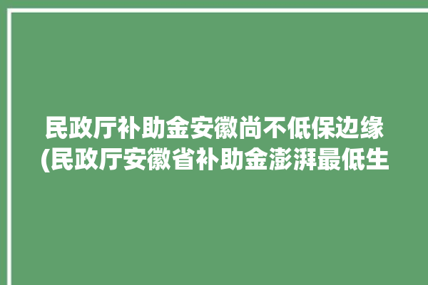 民政厅补助金安徽尚不低保边缘(民政厅安徽省补助金澎湃最低生活保障)