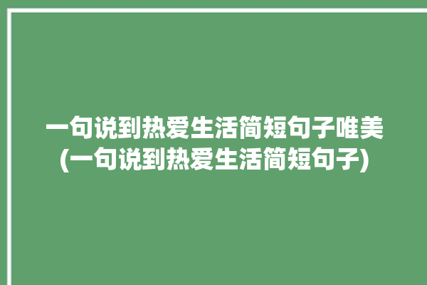 一句说到热爱生活简短句子唯美(一句说到热爱生活简短句子)