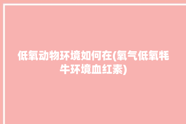 低氧动物环境如何在(氧气低氧牦牛环境血红素)