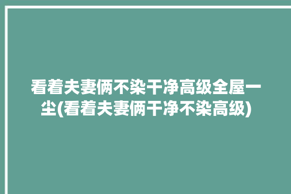 看着夫妻俩不染干净高级全屋一尘(看着夫妻俩干净不染高级)