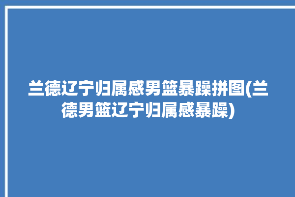 兰德辽宁归属感男篮暴躁拼图(兰德男篮辽宁归属感暴躁)