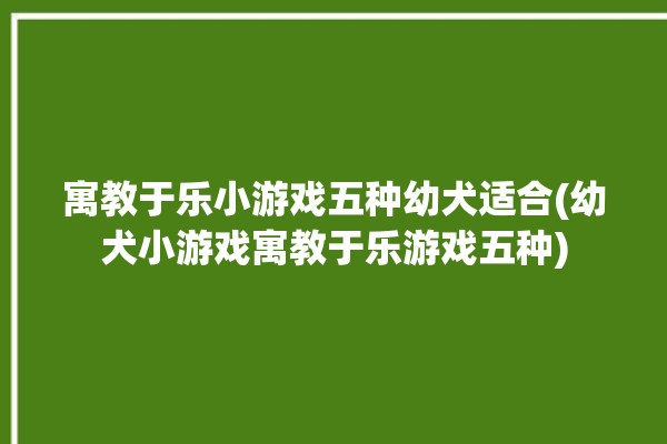 寓教于乐小游戏五种幼犬适合(幼犬小游戏寓教于乐游戏五种)