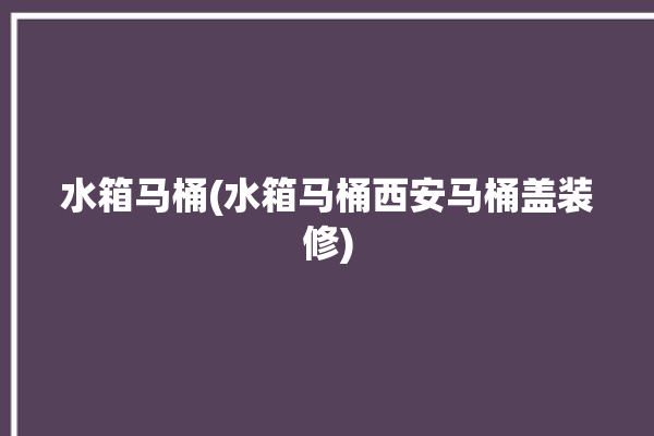 水箱马桶(水箱马桶西安马桶盖装修)