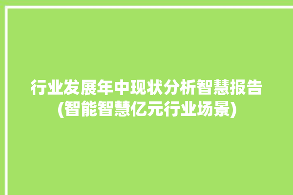 行业发展年中现状分析智慧报告(智能智慧亿元行业场景)