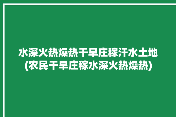 水深火热燥热干旱庄稼汗水土地(农民干旱庄稼水深火热燥热)