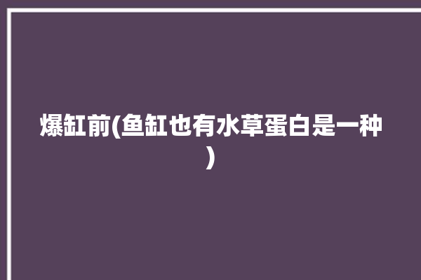 爆缸前(鱼缸也有水草蛋白是一种)