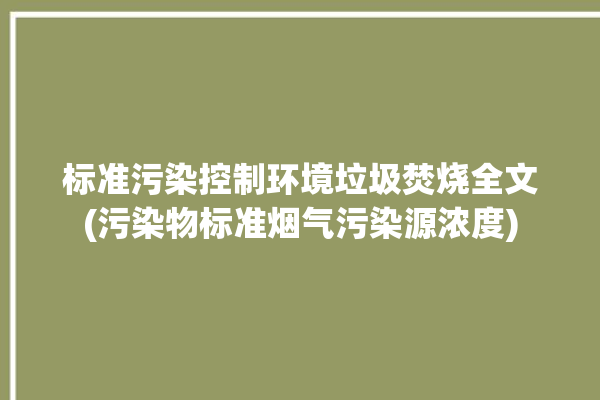 标准污染控制环境垃圾焚烧全文(污染物标准烟气污染源浓度)