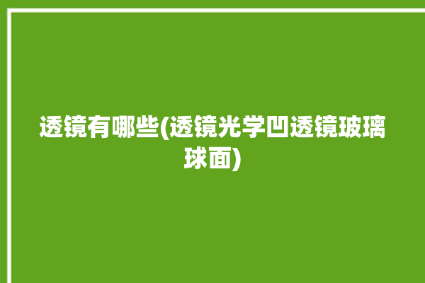 透镜有哪些(透镜光学凹透镜玻璃球面)