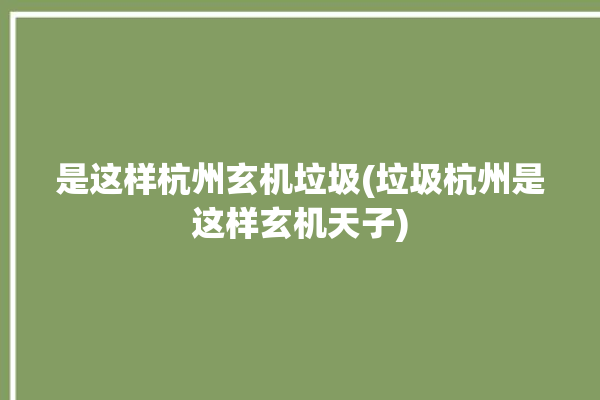 是这样杭州玄机垃圾(垃圾杭州是这样玄机天子)