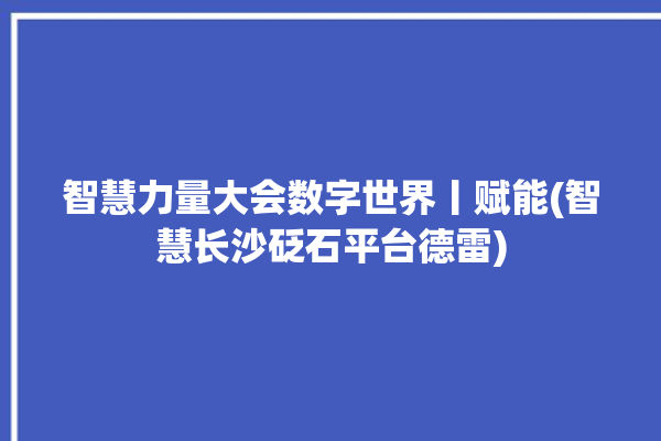 智慧力量大会数字世界丨赋能(智慧长沙砭石平台德雷)