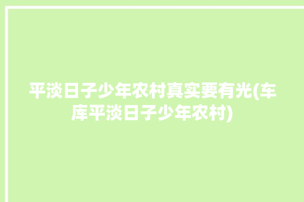 平淡日子少年农村真实要有光(车库平淡日子少年农村)