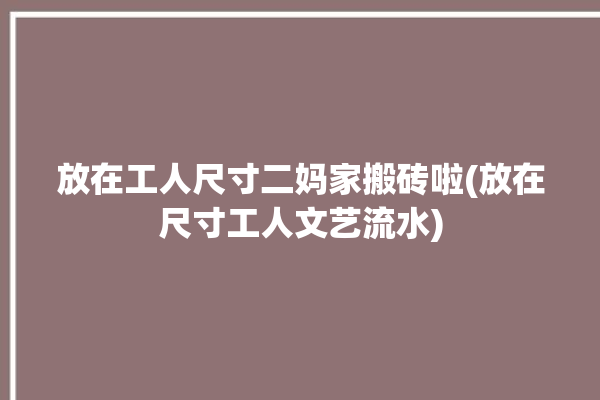 放在工人尺寸二妈家搬砖啦(放在尺寸工人文艺流水)