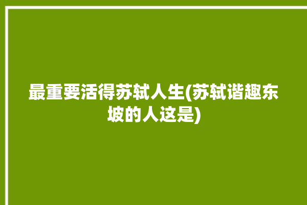 最重要活得苏轼人生(苏轼谐趣东坡的人这是)