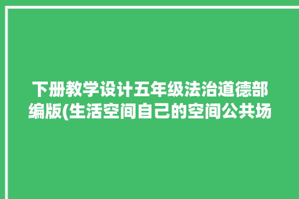 下册教学设计五年级法治道德部编版(生活空间自己的空间公共场所私人)