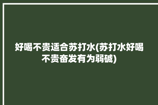 好喝不贵适合苏打水(苏打水好喝不贵奋发有为弱碱)