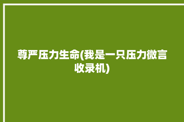 尊严压力生命(我是一只压力微言收录机)