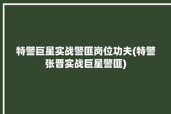 特警巨星实战警匪岗位功夫(特警张晋实战巨星警匪)