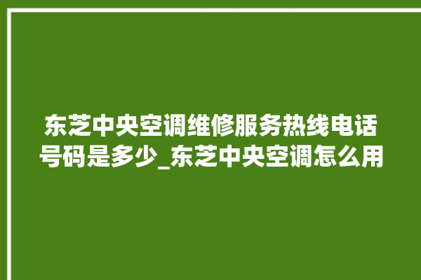 东芝中央空调维修服务热线电话号码是多少_东芝中央空调怎么用手机开空调 。东芝