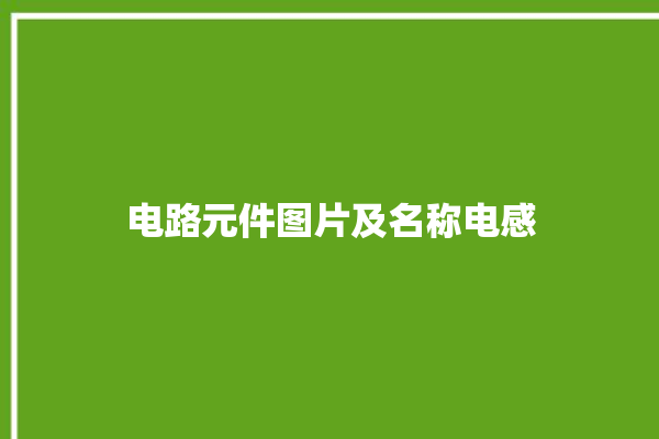 电路元件图片及名称电感