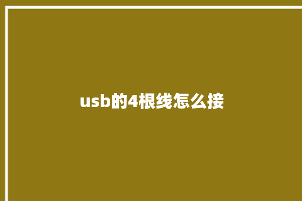 usb的4根线怎么接