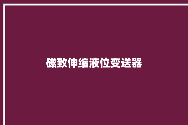 磁致伸缩液位变送器