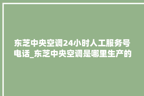 东芝中央空调24小时人工服务号电话_东芝中央空调是哪里生产的 。东芝