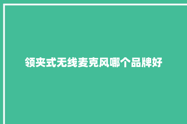 领夹式无线麦克风哪个品牌好