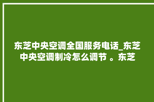 东芝中央空调全国服务电话_东芝中央空调制冷怎么调节 。东芝