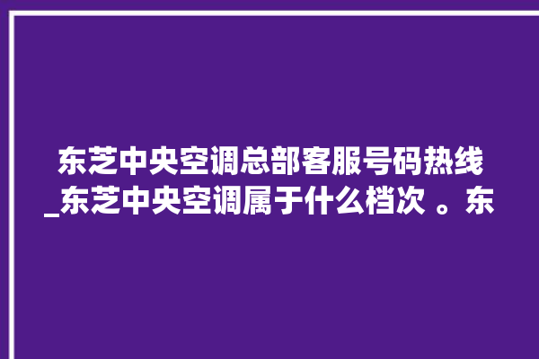 东芝中央空调总部客服号码热线_东芝中央空调属于什么档次 。东芝