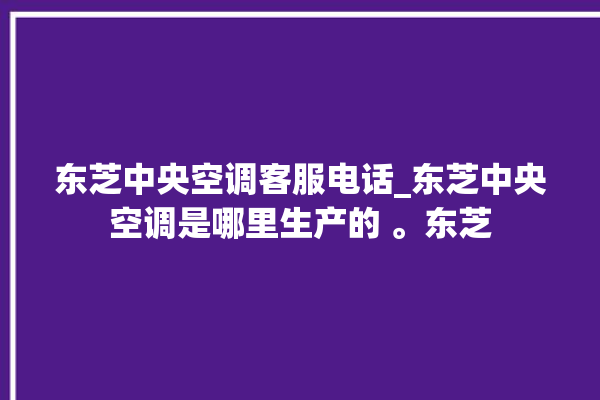 东芝中央空调客服电话_东芝中央空调是哪里生产的 。东芝