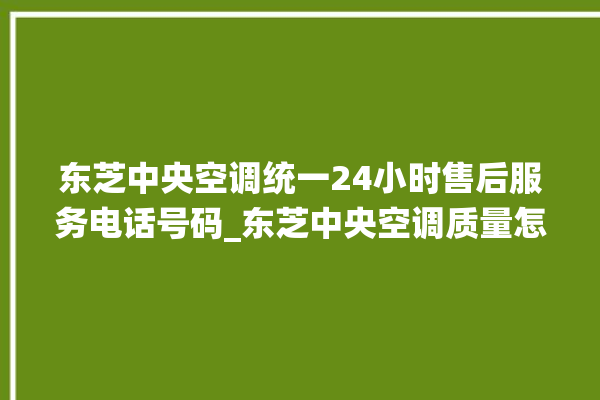 东芝中央空调统一24小时售后服务电话号码_东芝中央空调质量怎么样用的久吗 。东芝