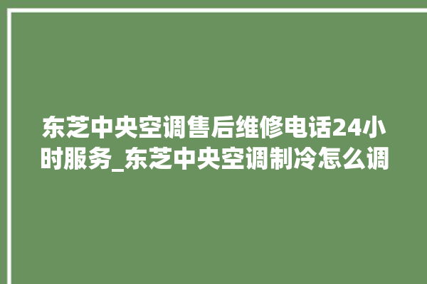 东芝中央空调售后维修电话24小时服务_东芝中央空调制冷怎么调节 。东芝