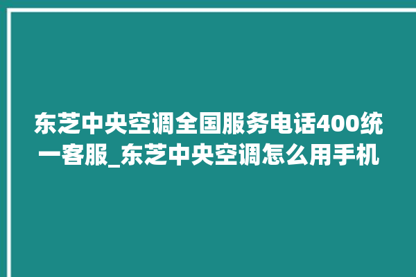 东芝中央空调全国服务电话400统一客服_东芝中央空调怎么用手机开空调 。东芝