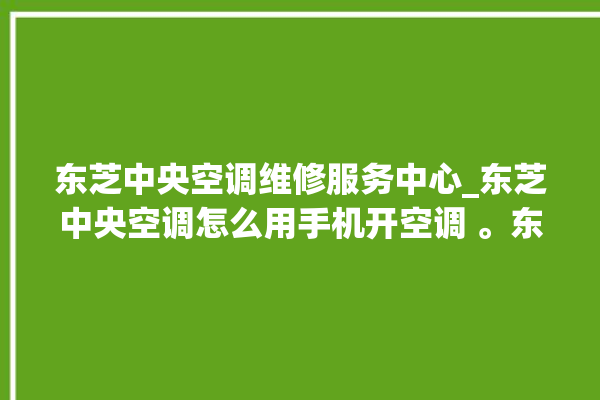 东芝中央空调维修服务中心_东芝中央空调怎么用手机开空调 。东芝