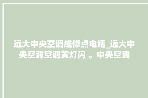 远大中央空调维修点电话_远大中央空调空调黄灯闪 。中央空调