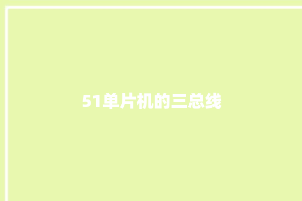 51单片机的三总线