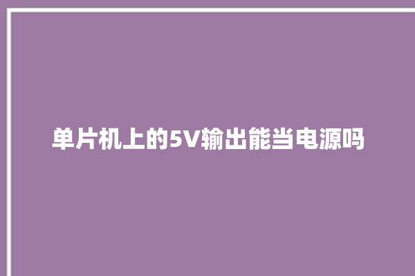 单片机上的5V输出能当电源吗