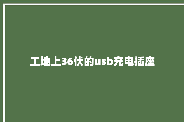 工地上36伏的usb充电插座