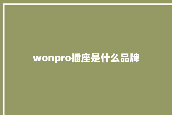 wonpro插座是什么品牌