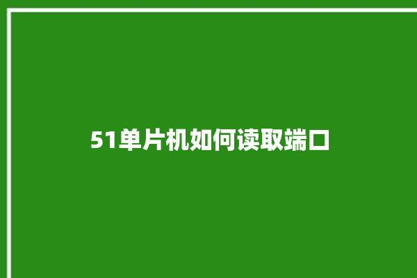 51单片机如何读取端口