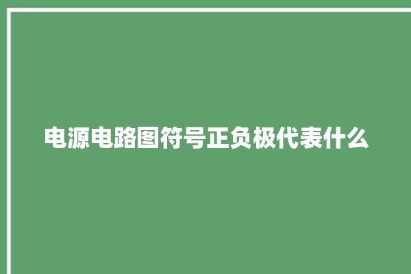 电源电路图符号正负极代表什么