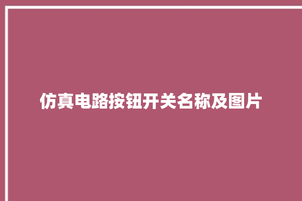 仿真电路按钮开关名称及图片