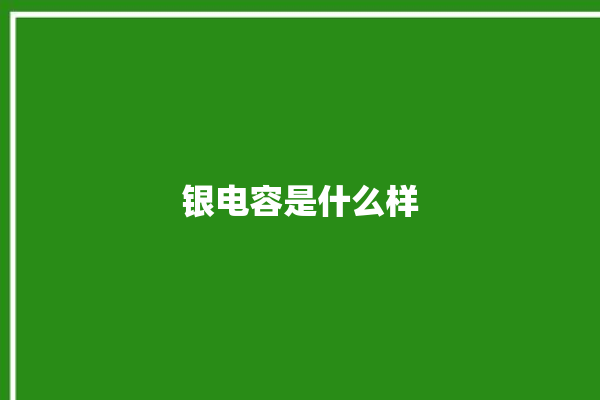 银电容是什么样