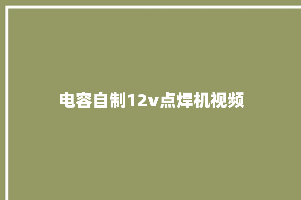 电容自制12v点焊机视频