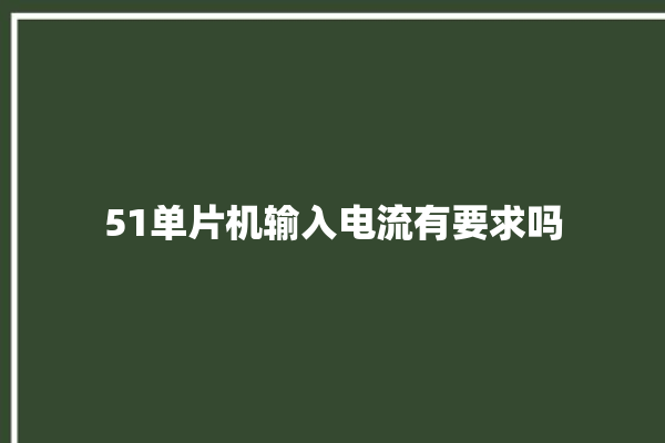 51单片机输入电流有要求吗