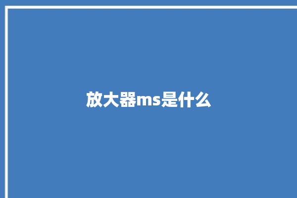 放大器ms是什么