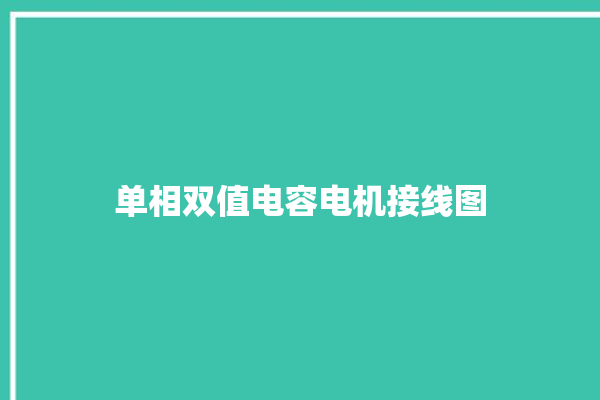 单相双值电容电机接线图