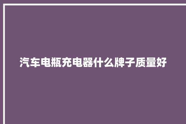 汽车电瓶充电器什么牌子质量好