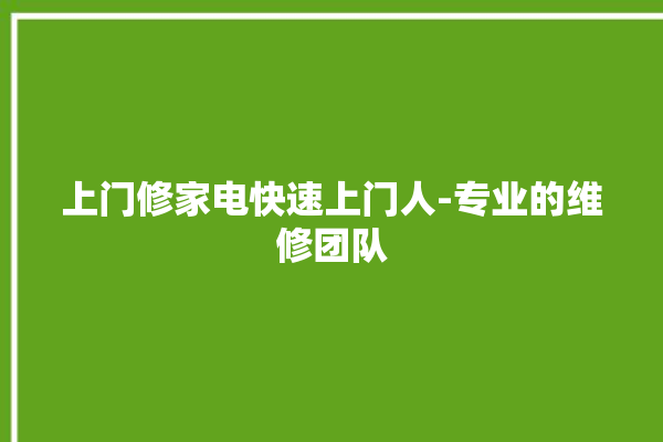 上门修家电快速上门人-专业的维修团队